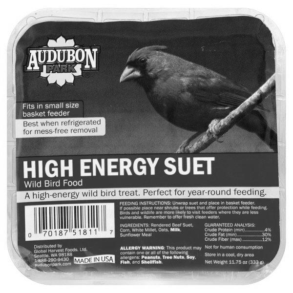 Feed High Energy Suet to Your Birds image 1