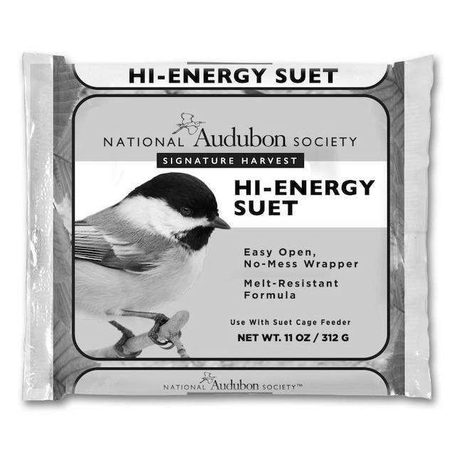 Feed High Energy Suet to Your Birds image 2