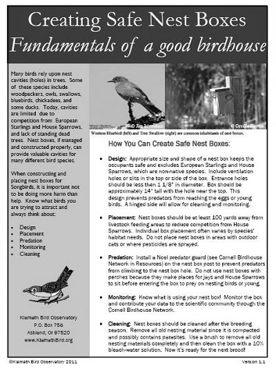 Basic Birdhouse Maintenance and Safety image 3
