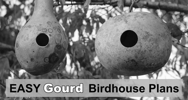 Making Birdhouse Gourds photo 3