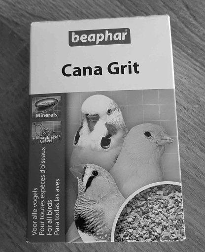 All Birds Need Grit! image 1