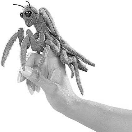Praying Mantis image 2