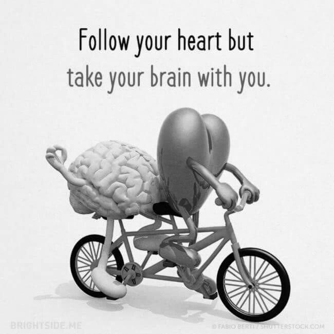 Your Heart Brain image 3