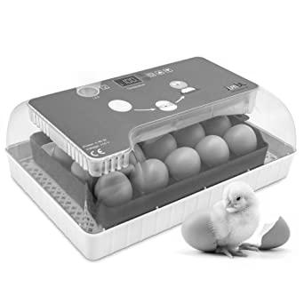 Egg Incubation and More image 1