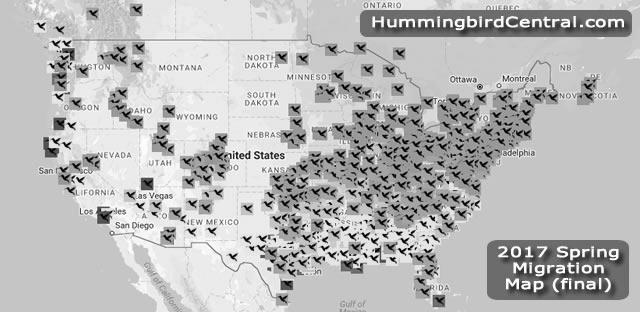What Is The Hummingbird Migration For 2019? photo 2